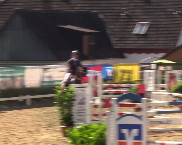 Reitturnier Behrendorf 2020