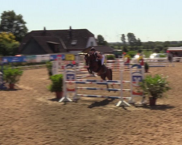 Reitturnier Behrendorf 2020