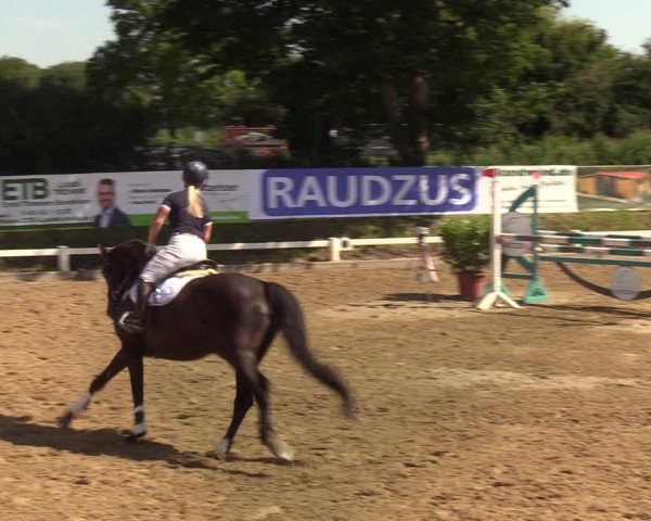 Reitturnier Behrendorf 2020