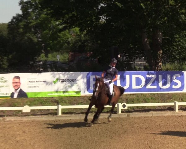 Reitturnier Behrendorf 2020