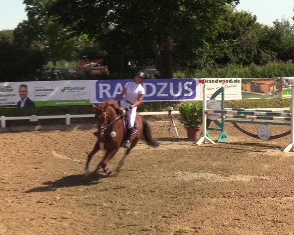 Reitturnier Behrendorf 2020