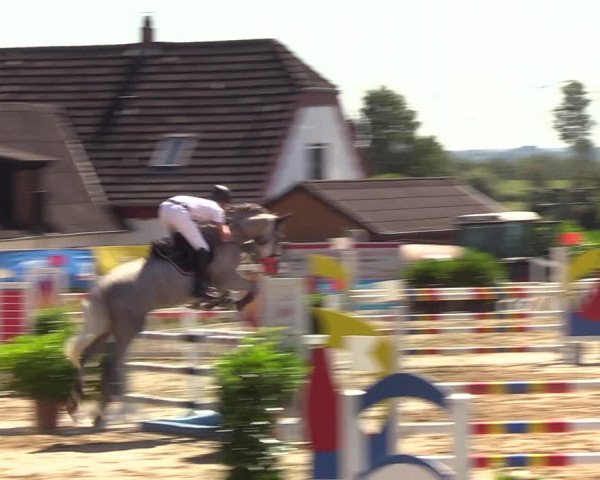 Reitturnier Behrendorf 2020