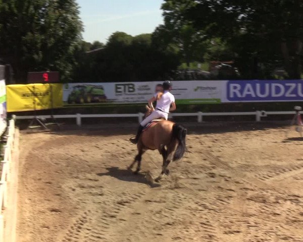 Reitturnier Behrendorf 2020