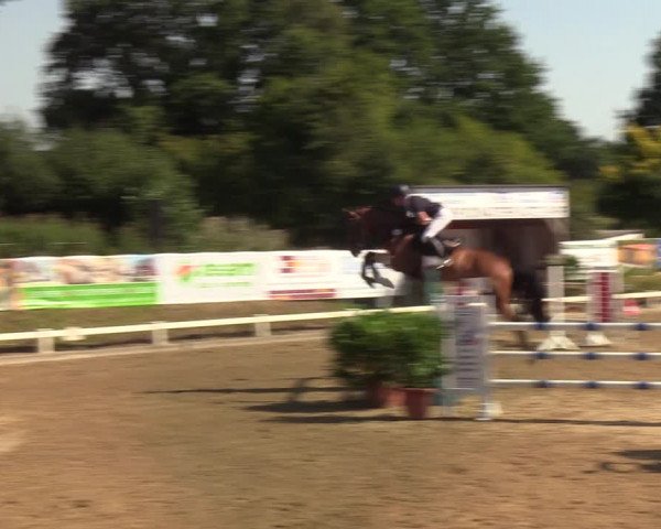 Reitturnier Behrendorf 2020