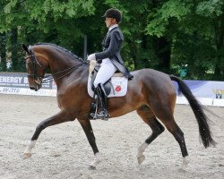 broodmare Rikki's Fjalah (Oldenburg, 2006, from Florencio I)