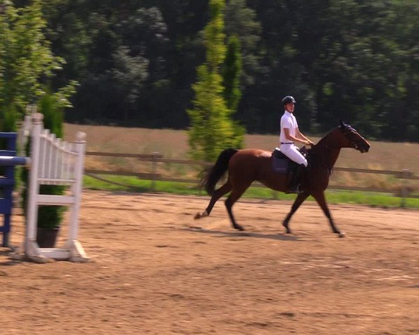 Reitturnier Altlandsberg 2020