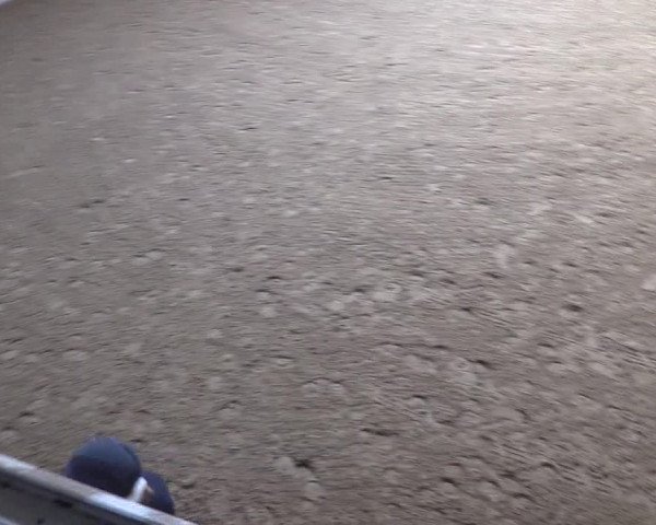 Reitturnier Olfen-Vinnum 2020
