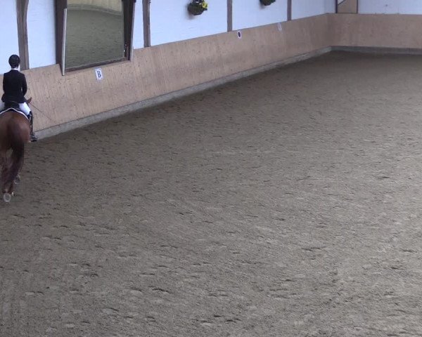 Reitturnier Olfen-Vinnum 2020
