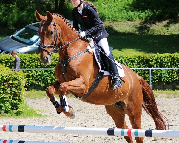 broodmare Aiga (Westphalian, 2001, from Arpeggio)