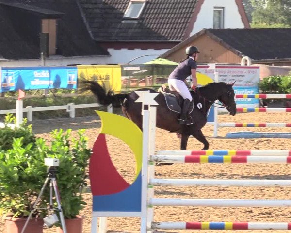 Reitturnier Behrendorf 2020