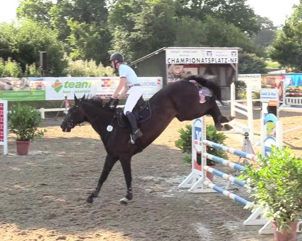 Reitturnier Behrendorf 2020