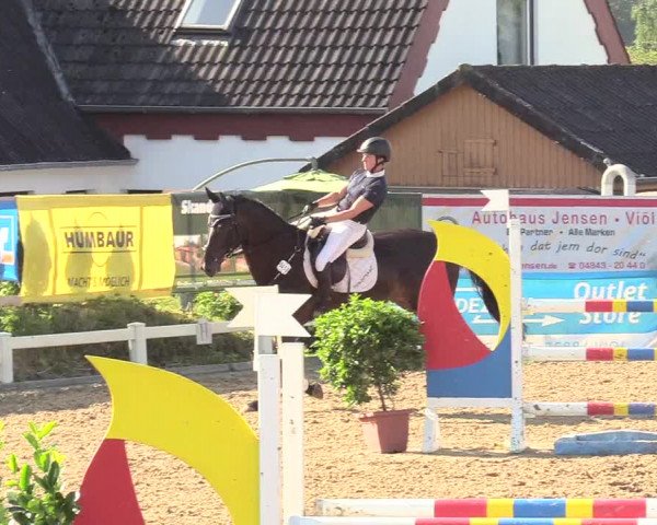 Reitturnier Behrendorf 2020