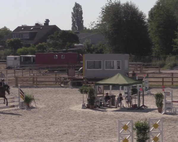 Reitturnier Münster-Amelsbüren 2020