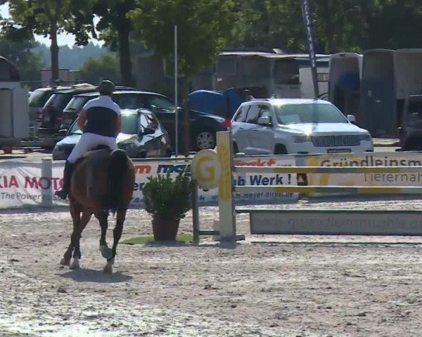 Reitturnier Grafenrheinfeld/Ufr. 2020