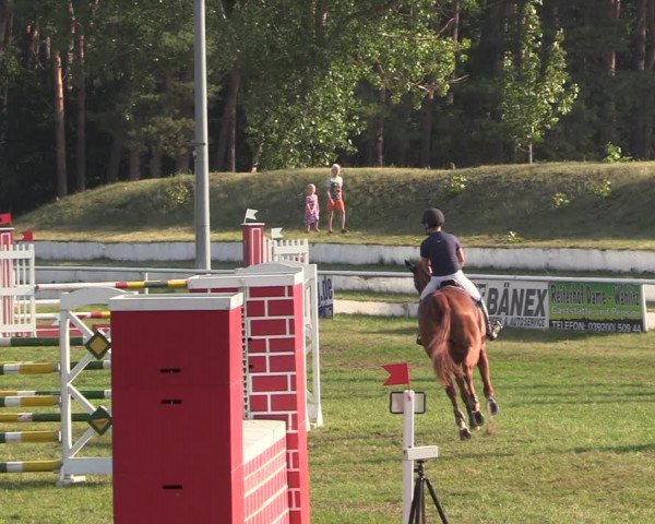 Reitturnier Wörmlitz 2020