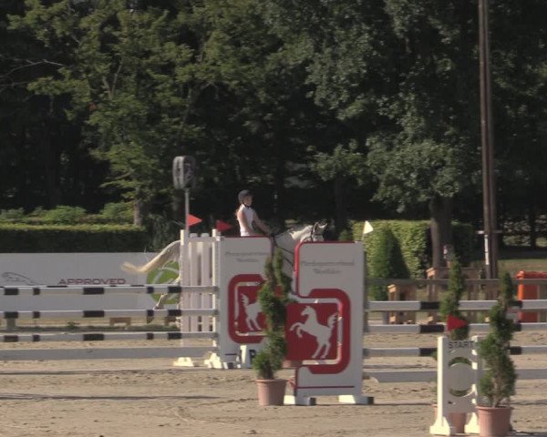 Reitturnier Münster-Handorf 2020