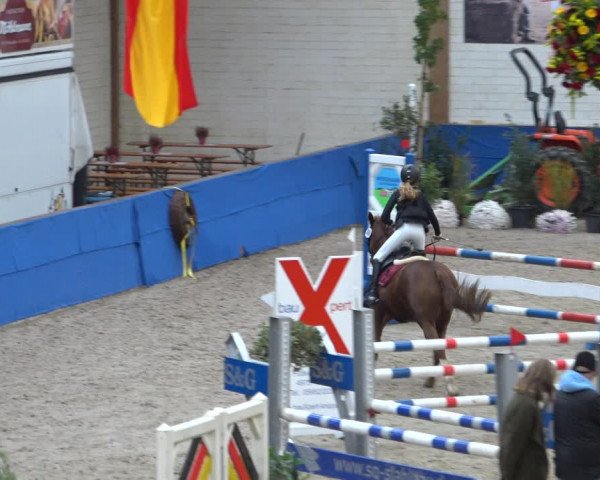 Reitturnier Sögel 2021