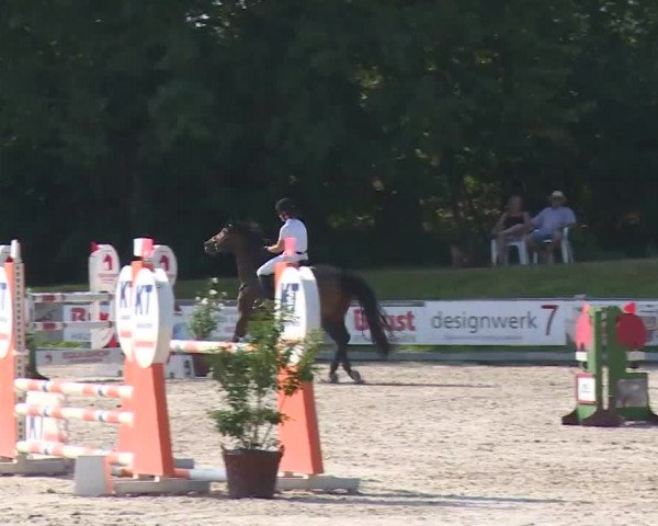 Reitturnier Grafenrheinfeld/Ufr. 2020