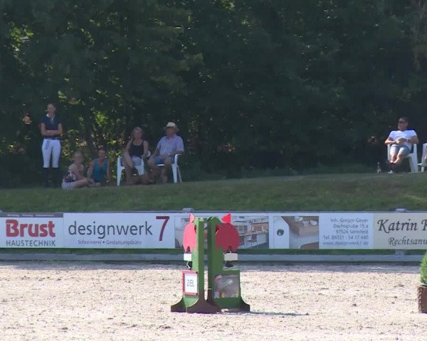 Reitturnier Grafenrheinfeld/Ufr. 2020