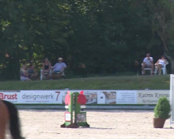 Reitturnier Grafenrheinfeld/Ufr. 2020