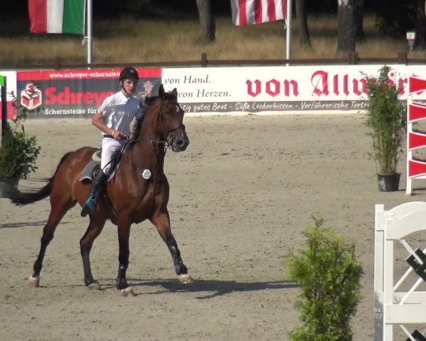 Reitturnier Westergellersen 2020