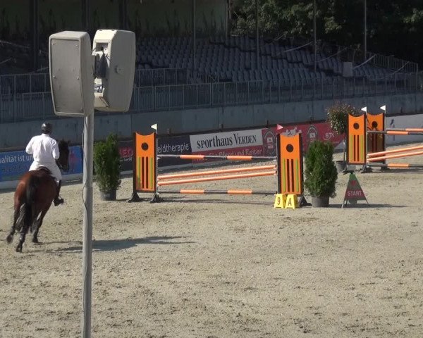 Reitturnier Westergellersen 2020