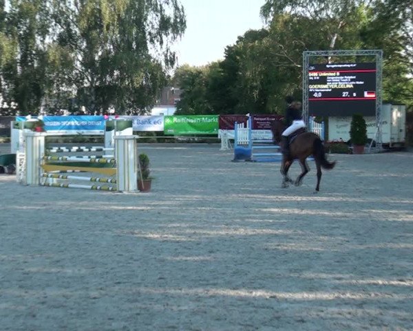 Reitturnier Monheim - Gut Blee 2020