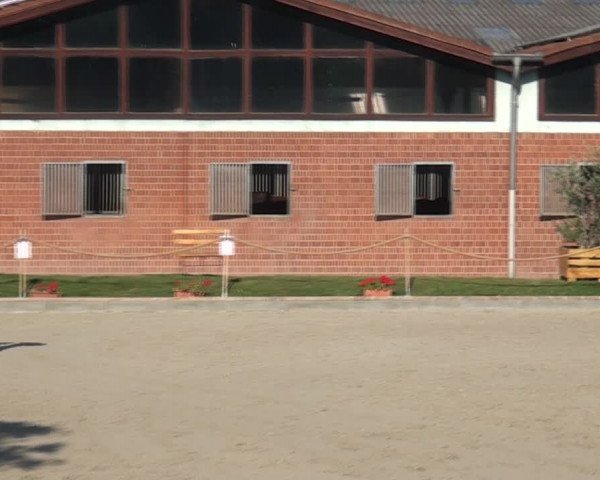 Reitturnier Monheim - Gut Blee 2020