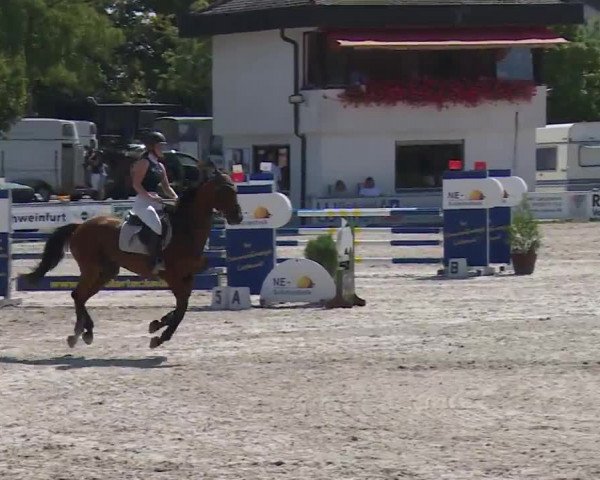 Reitturnier Grafenrheinfeld/Ufr. 2020