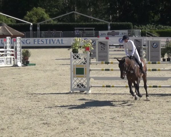FEI Reitturnier Eschweiler (GER) 2020