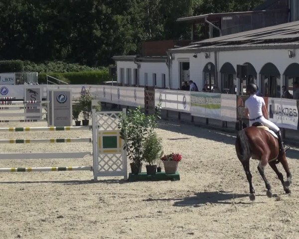 FEI Reitturnier Eschweiler (GER) 2020