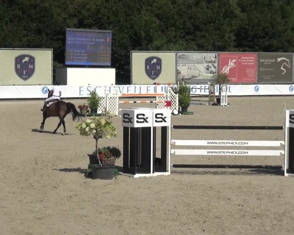 FEI Reitturnier Eschweiler (GER) 2020