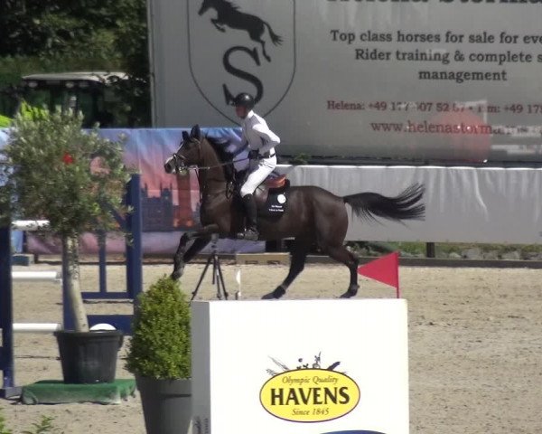 FEI Reitturnier Eschweiler (GER) 2020
