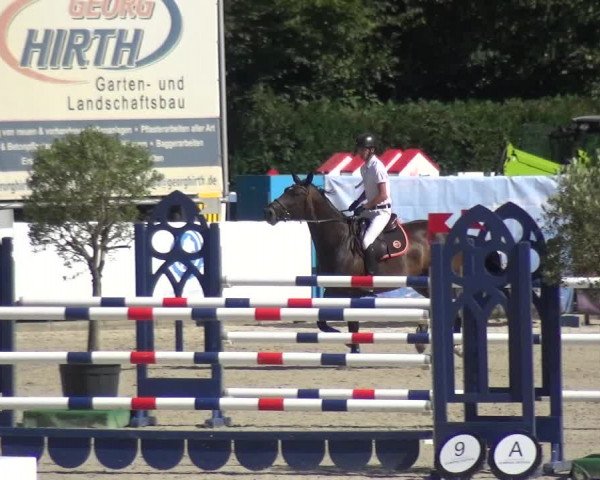 FEI Reitturnier Eschweiler (GER) 2020