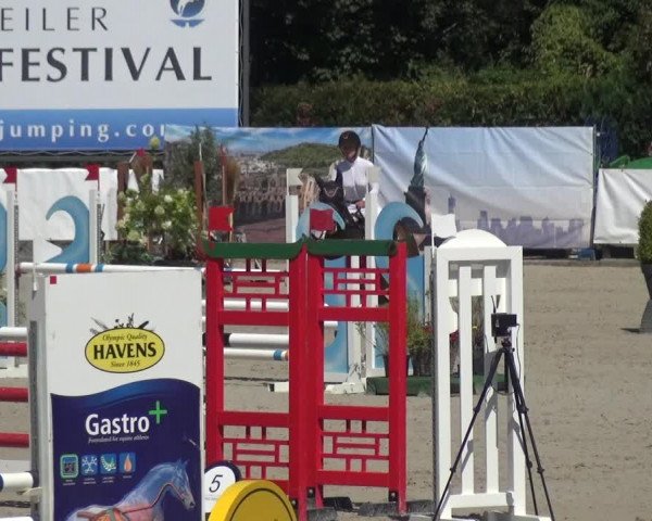 FEI Reitturnier Eschweiler (GER) 2020