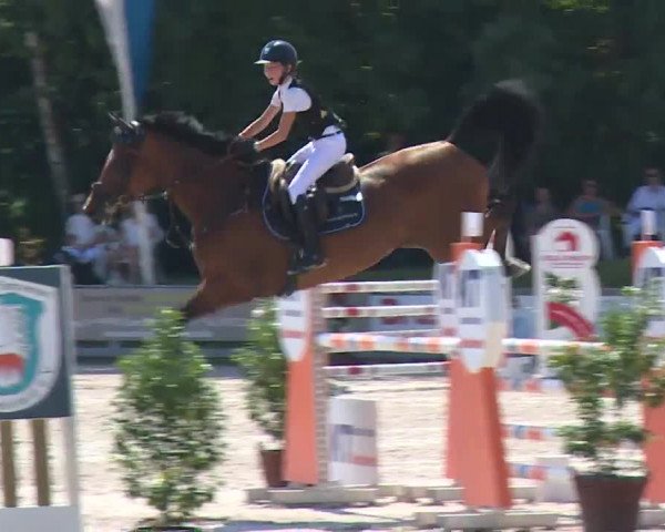 Reitturnier Grafenrheinfeld/Ufr. 2020