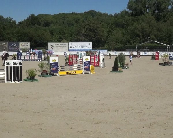 FEI Reitturnier Eschweiler (GER) 2020