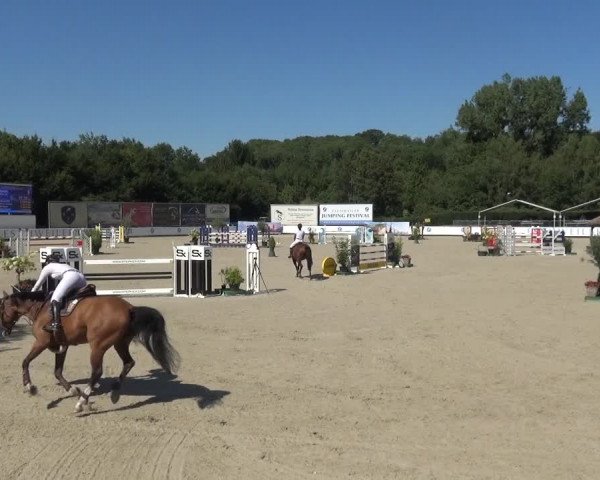 FEI Reitturnier Eschweiler (GER) 2020
