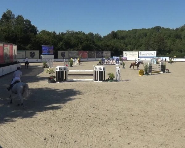 FEI Reitturnier Eschweiler (GER) 2020
