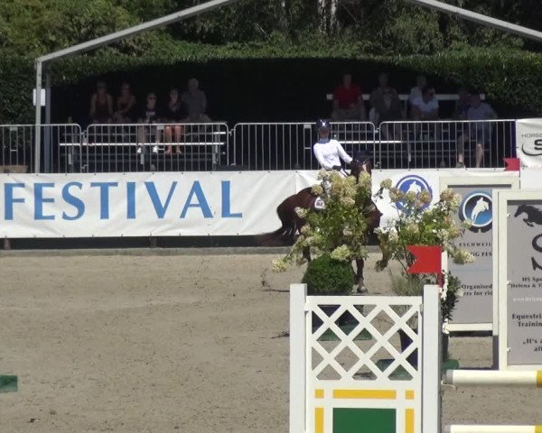 FEI Reitturnier Eschweiler (GER) 2020