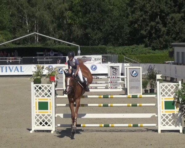 FEI Reitturnier Eschweiler (GER) 2020