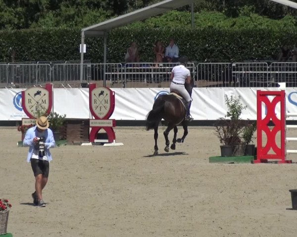 FEI Reitturnier Eschweiler (GER) 2020