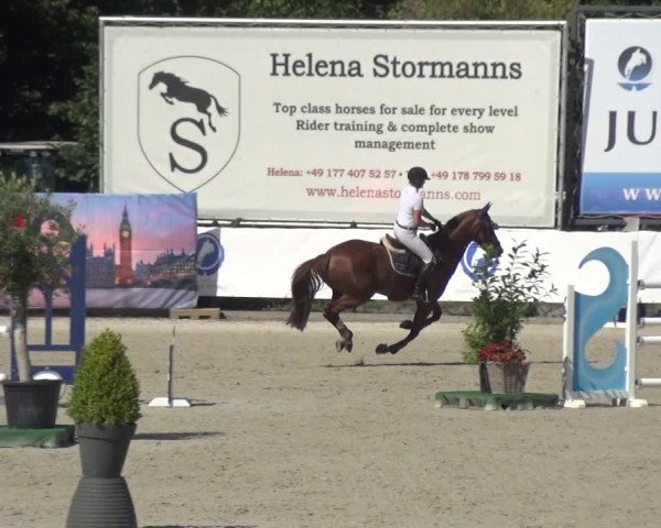 FEI Reitturnier Eschweiler (GER) 2020