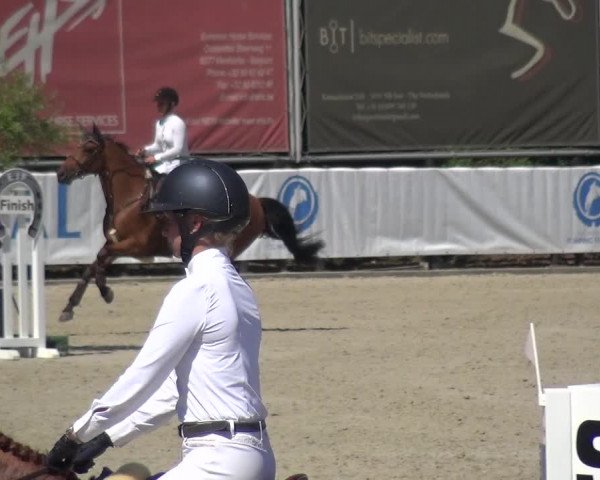FEI Reitturnier Eschweiler (GER) 2020