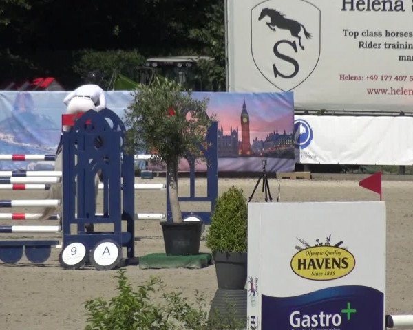 FEI Reitturnier Eschweiler (GER) 2020