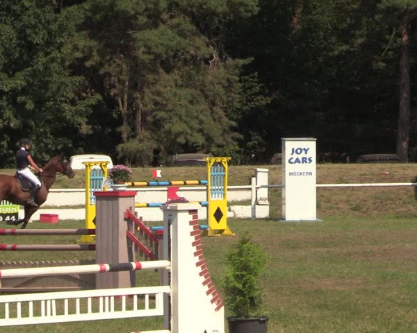 Reitturnier Wörmlitz 2020