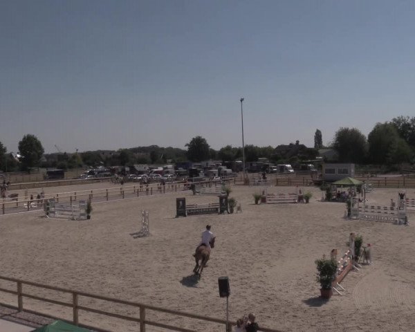Reitturnier Münster-Amelsbüren 2020
