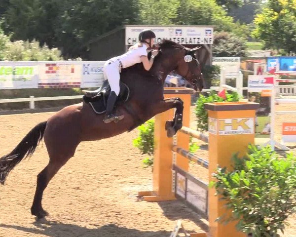 Reitturnier Behrendorf 2020