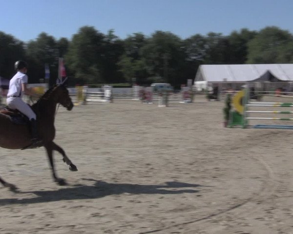 Reitturnier Münster-Handorf 2020