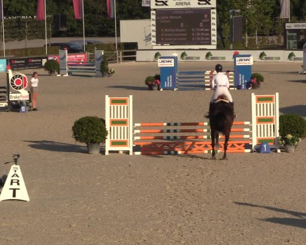 Gold +Cyclus Jonge Paarden in Lier (BEL) 2020